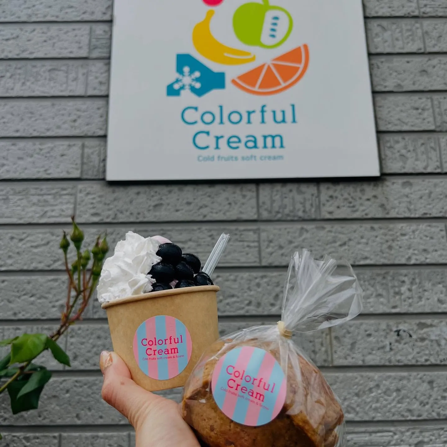 ご近所のお店紹介！🍦✨️