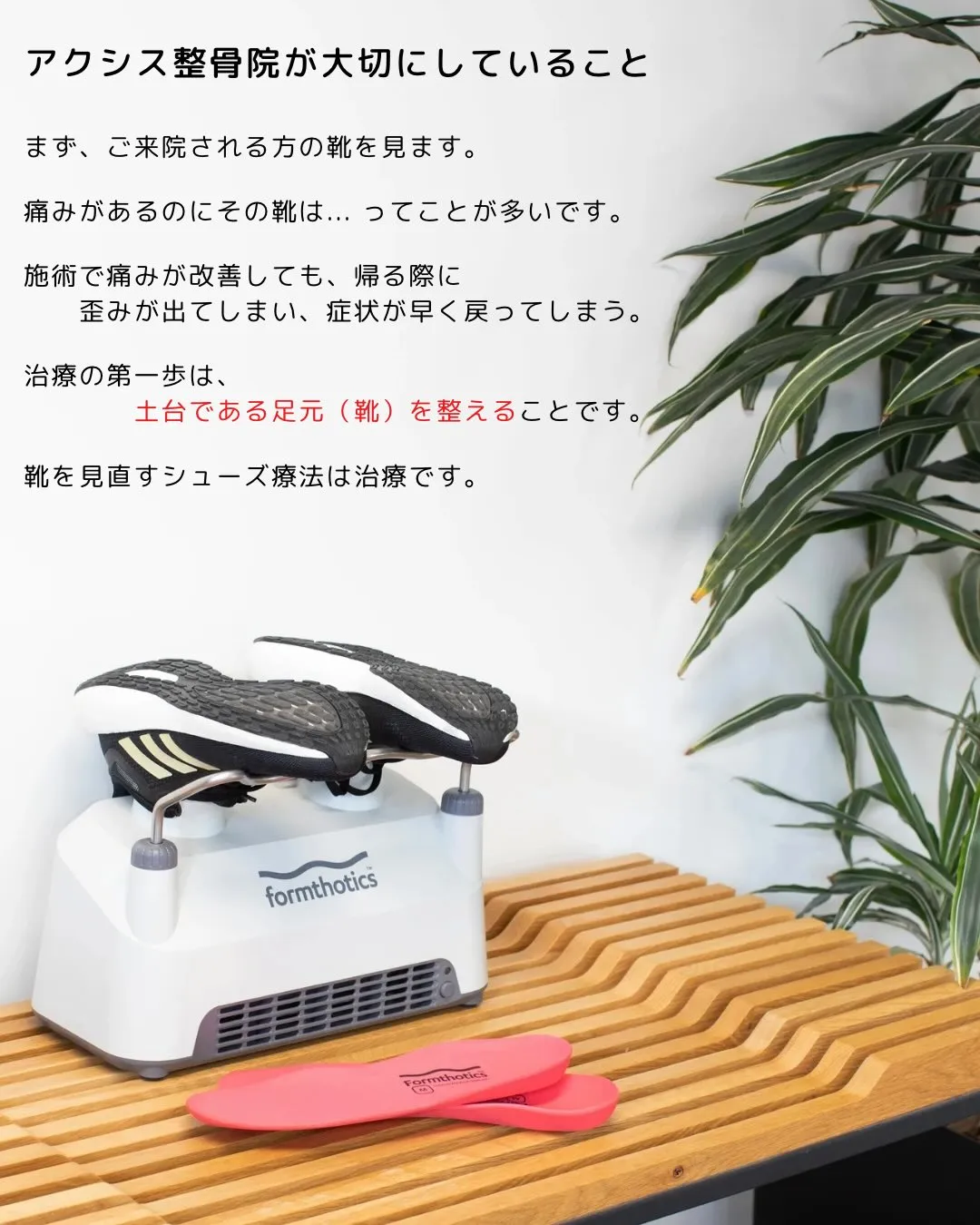 🌸雪解けが進んできましたね🌸