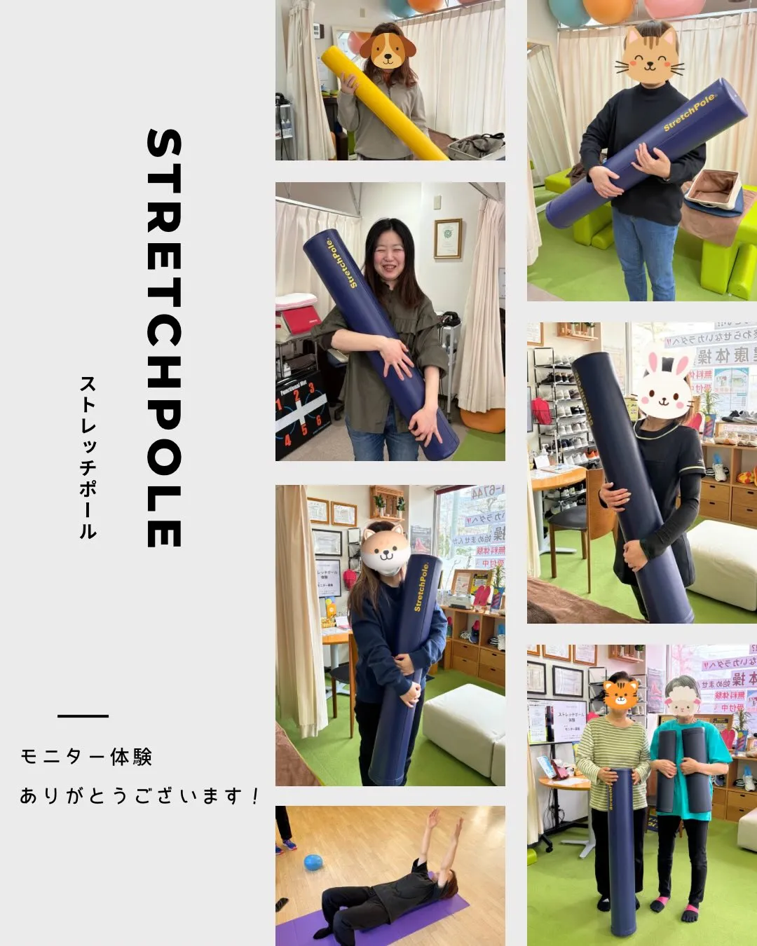 ストレッチポールの体験モニターを実施中です！✨
