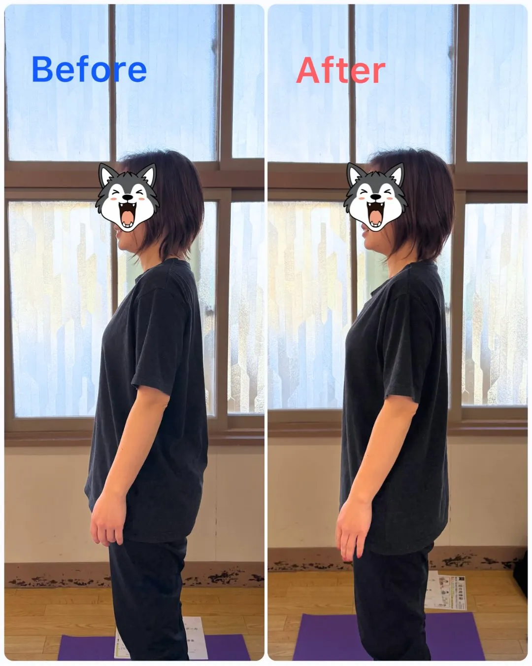 ストレッチポールの体験モニターを実施中です!✨